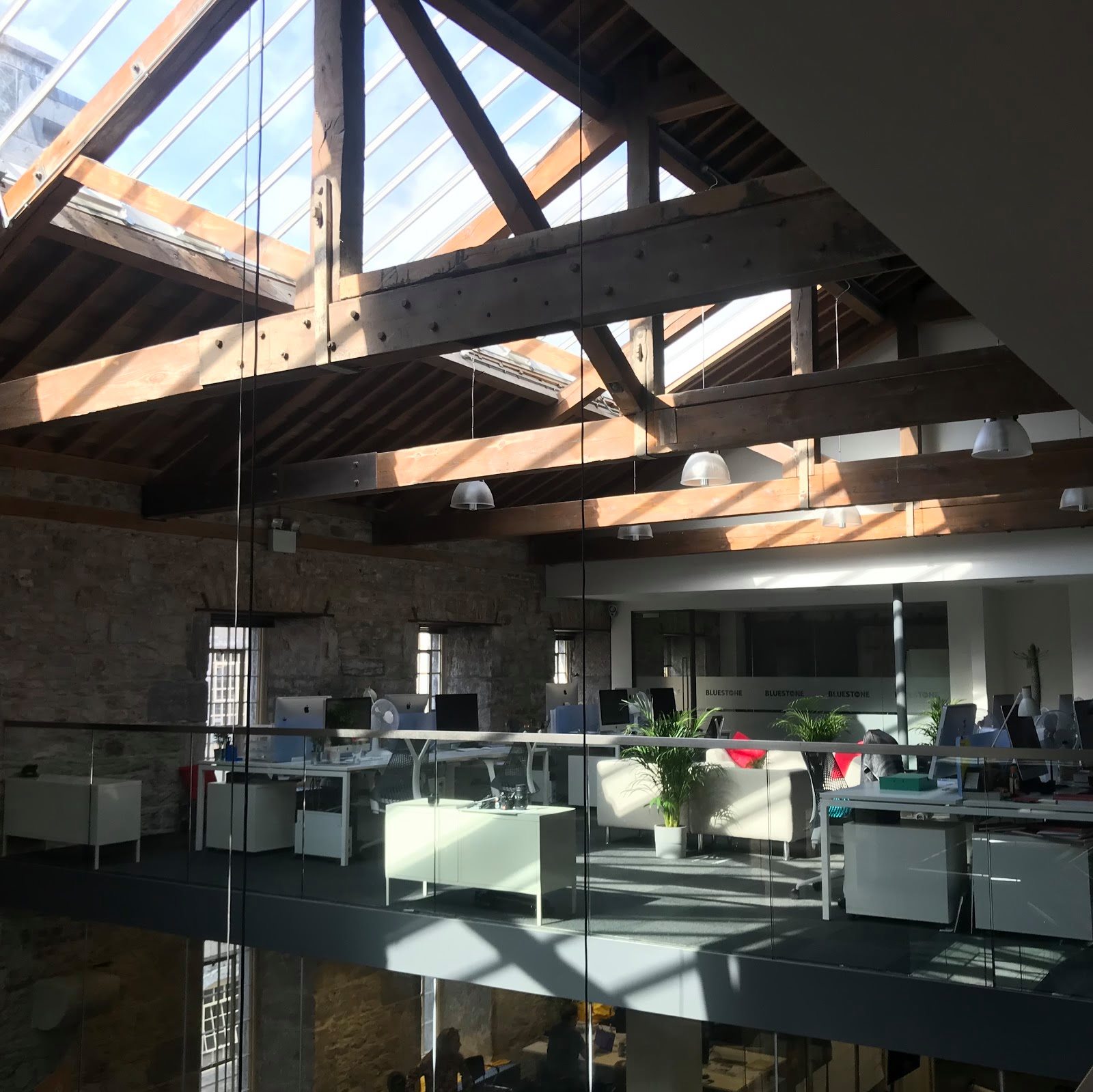 bluestone360 offices with lots of light